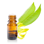 huile essentielle d'ylang ylang